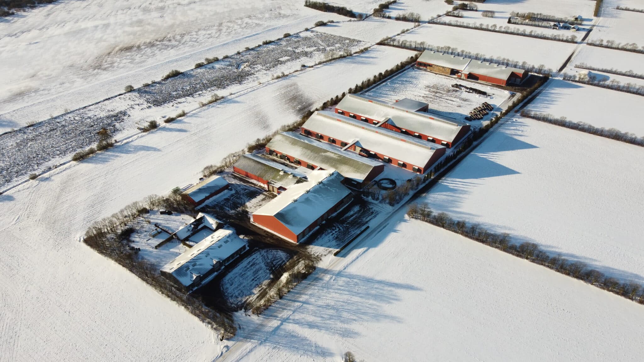 Thorsens Chipskartofler A/S udvider forretningen med et nyt strategisk ben